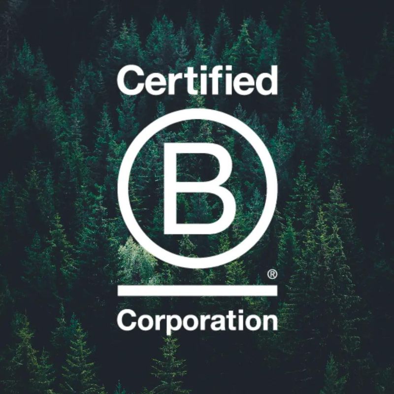 March is B-Corp Month