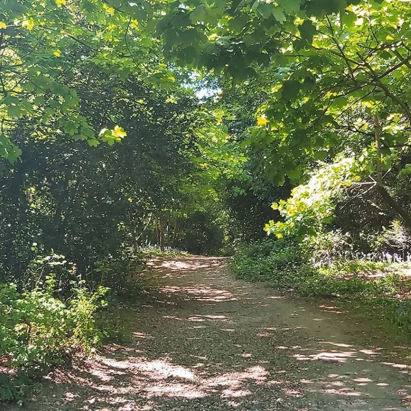 🌿 5 Things to Do With the Kids Locally This Half-Term