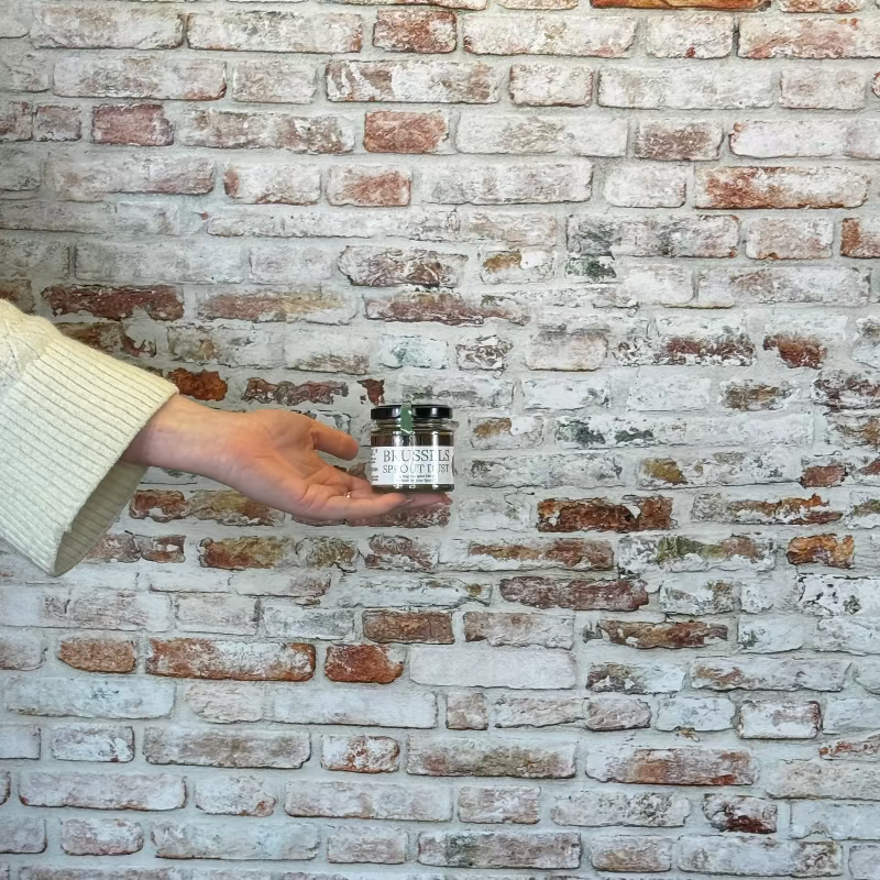Person holding a brussels sprout dust in front of a brick wall