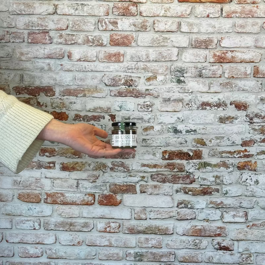 Person holding a brussels sprout dust in front of a brick wall