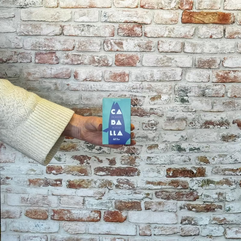 Person holding a tinned mackerel against a brick wall.
